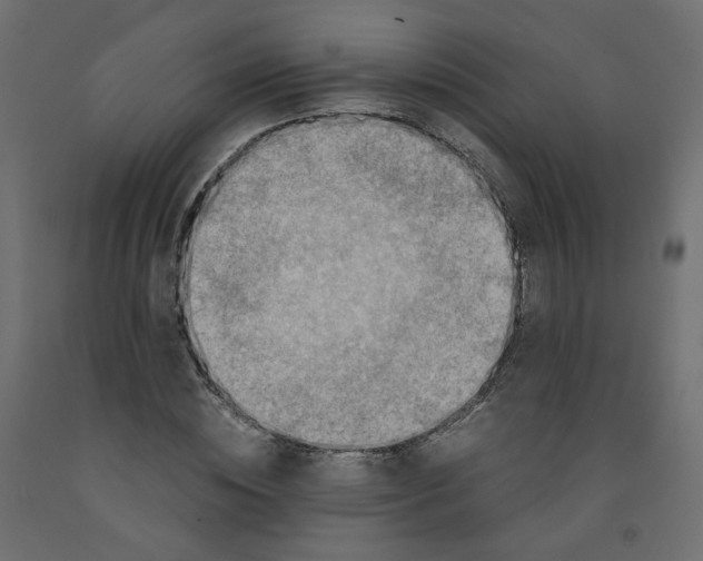 X0000091960828200710041026