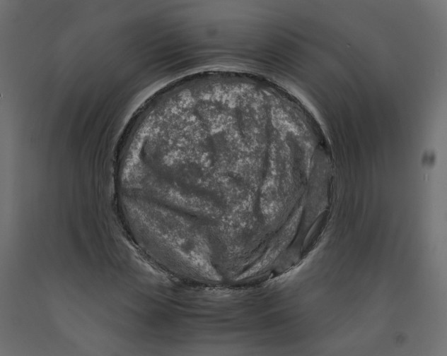 X0000091960829200710041026
