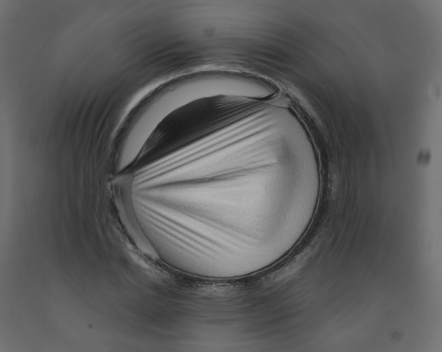 X0000091960830200710041026