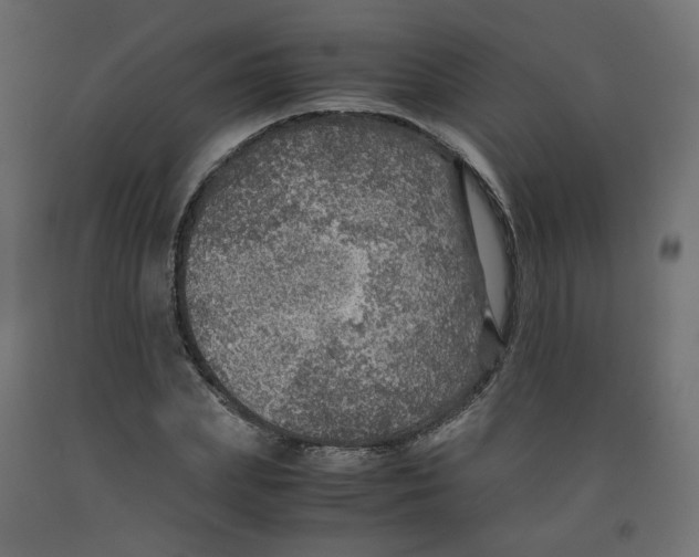 X0000091960831200710041026