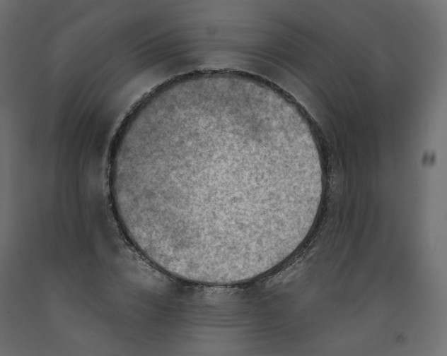 X0000091960832200710041026