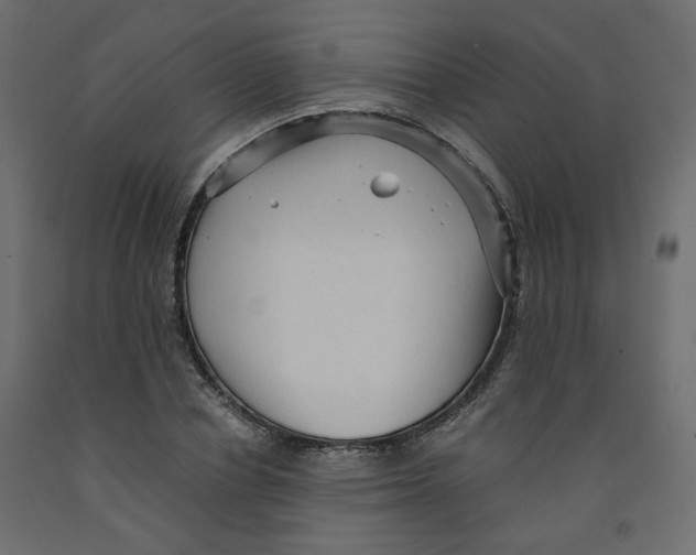 X0000091960834200710041026