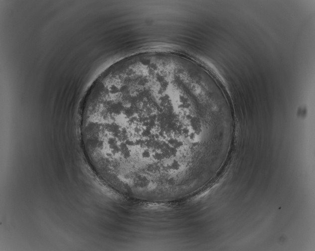 X0000091960835200710041026