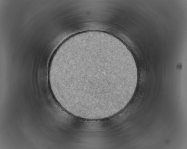 X0000091960836200710041026