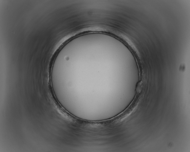 X0000091960837200710041026