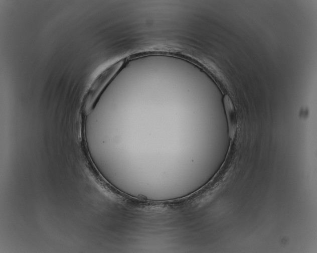 X0000091960838200710041026