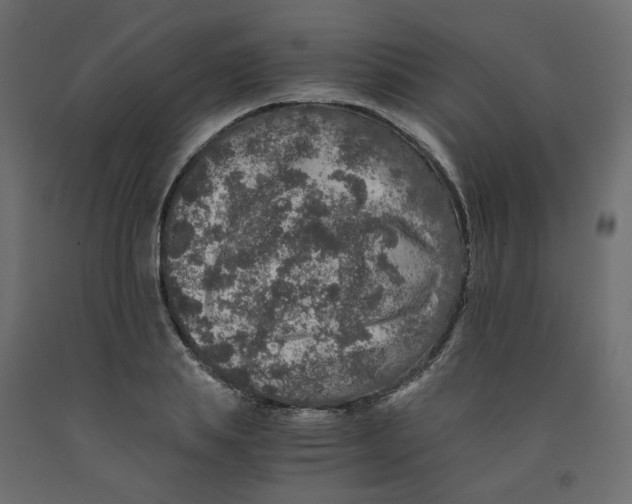 X0000091960839200710041026