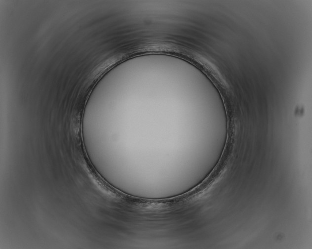 X0000091960841200710041026