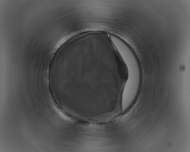 X0000091960842200710041026