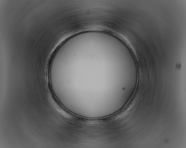 X0000091960843200710041026