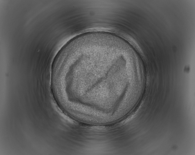 X0000091960844200710041026