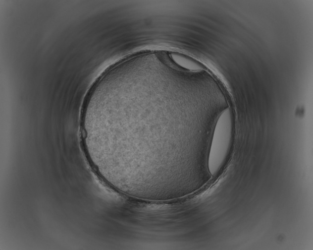 X0000091960845200710041026