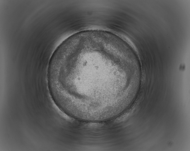 X0000091960847200710041026