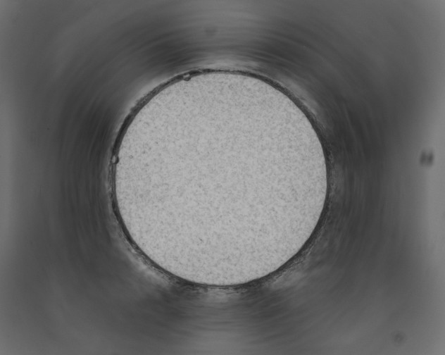 X0000091960848200710041026