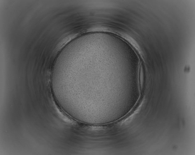 X0000091960849200710041026