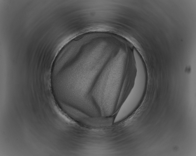 X0000091960850200710041026