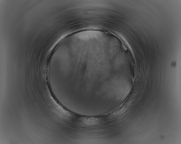 X0000091960851200710041026