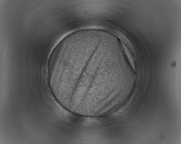 X0000091960852200710041026