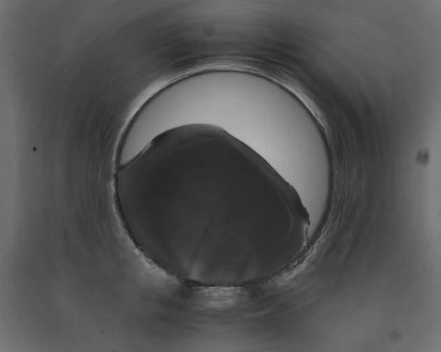 X0000091960853200710041027