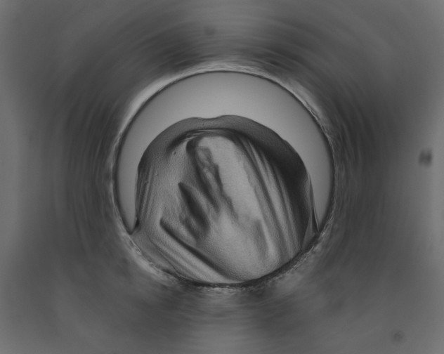 X0000091960854200710041027