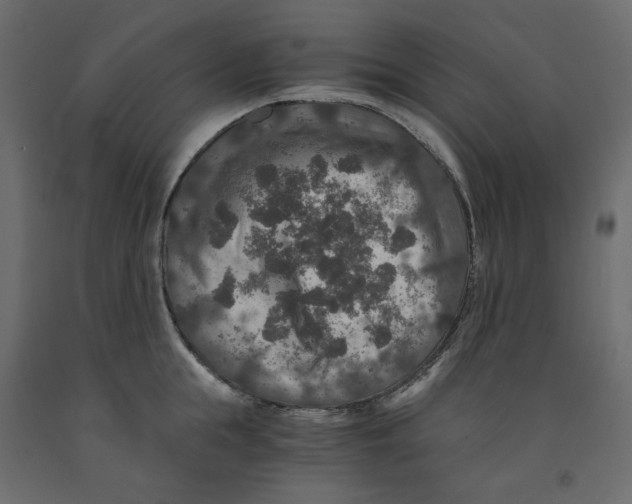 X0000091960855200710041027