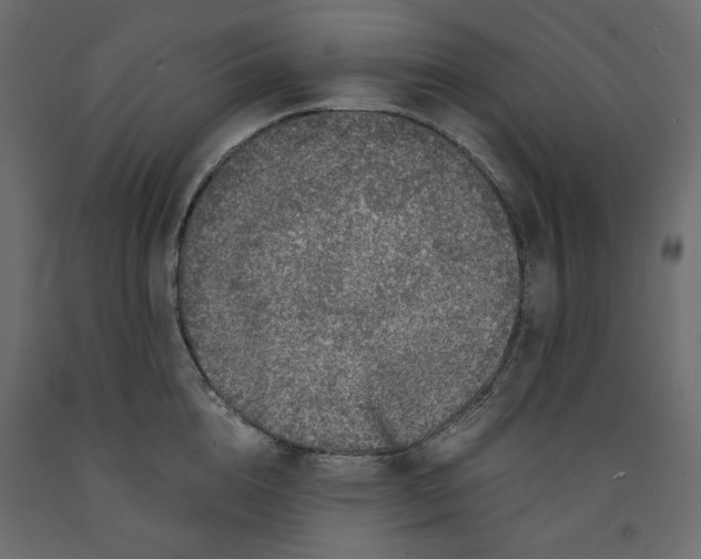 X0000091960856200710041027