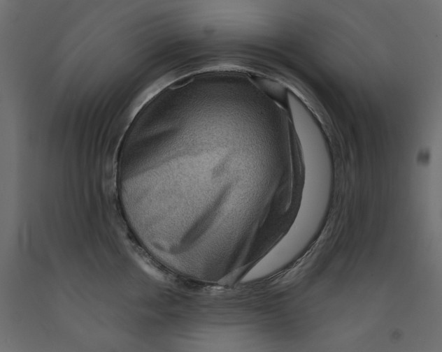 X0000091960858200710041027
