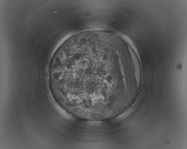 X0000091960859200710041027