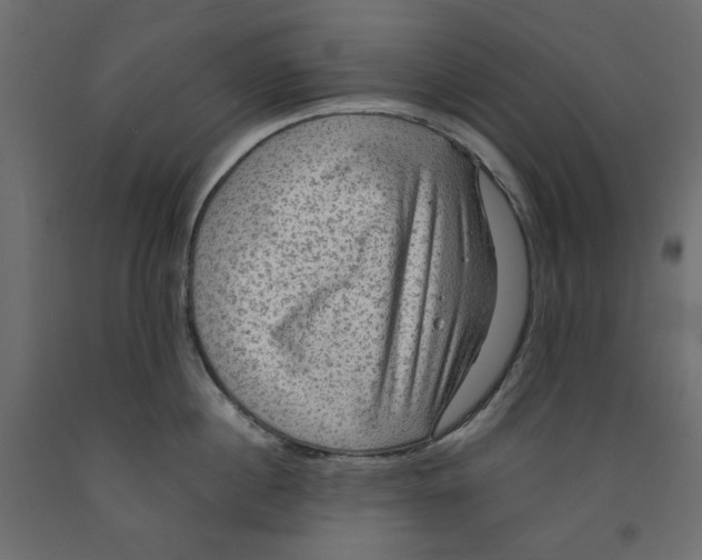 X0000091960860200710041027