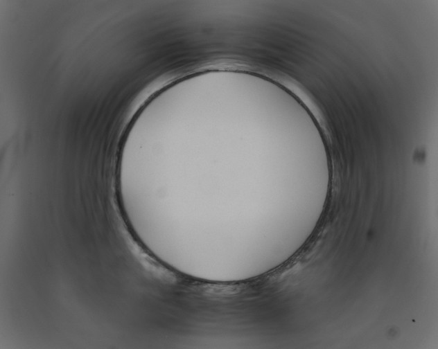 X0000091960861200710041027