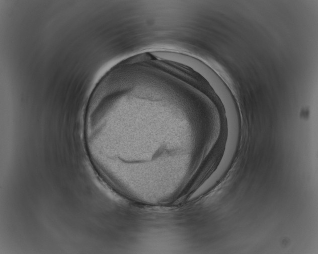 X0000091960862200710041027