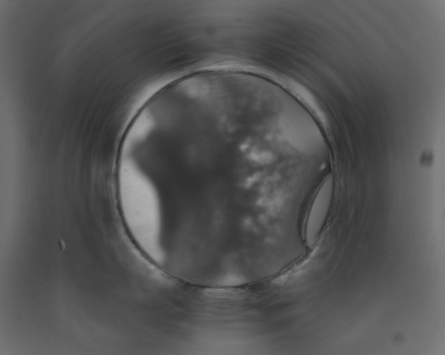X0000091960863200710041027