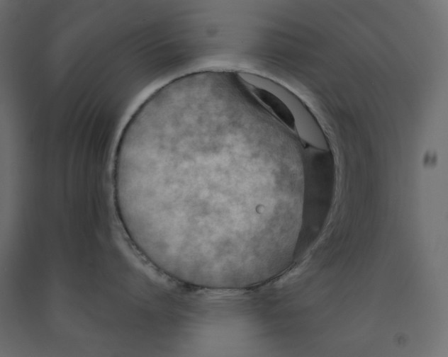 X0000091960864200710041027