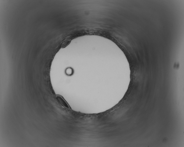 X0000091960865200710041026