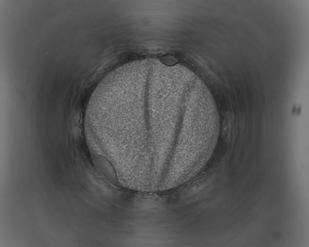 X0000091960866200710041026