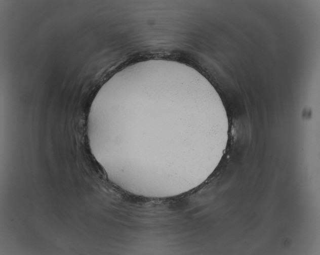 X0000091960867200710041026