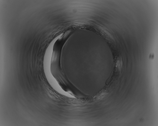 X0000091960868200710041026