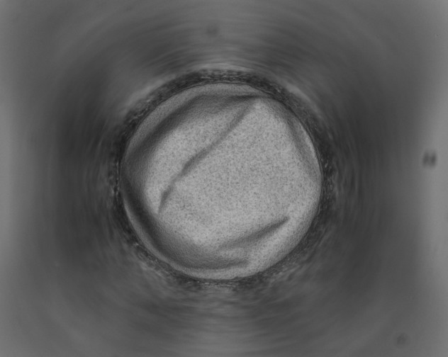 X0000091960870200710041026