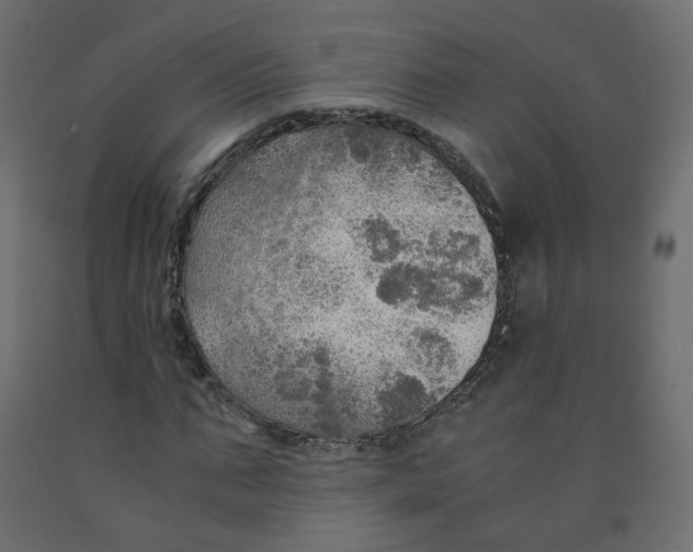 X0000091960871200710041026