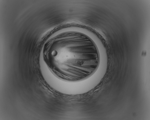 X0000091960872200710041026