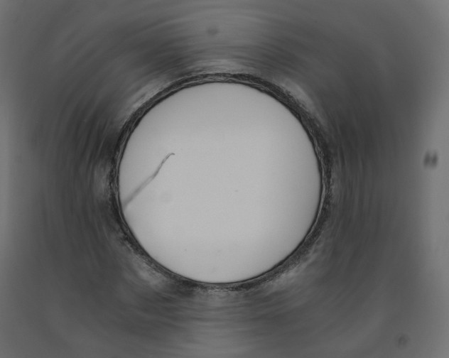 X0000091960873200710041026