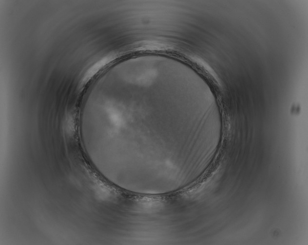 X0000091960874200710041026
