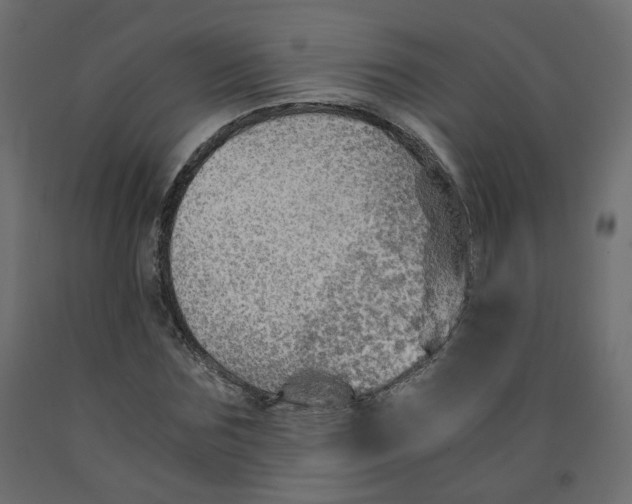 X0000091960875200710041026