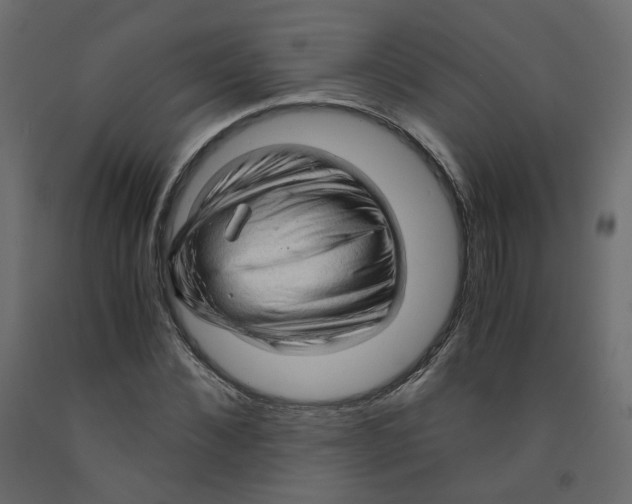 X0000091960876200710041026