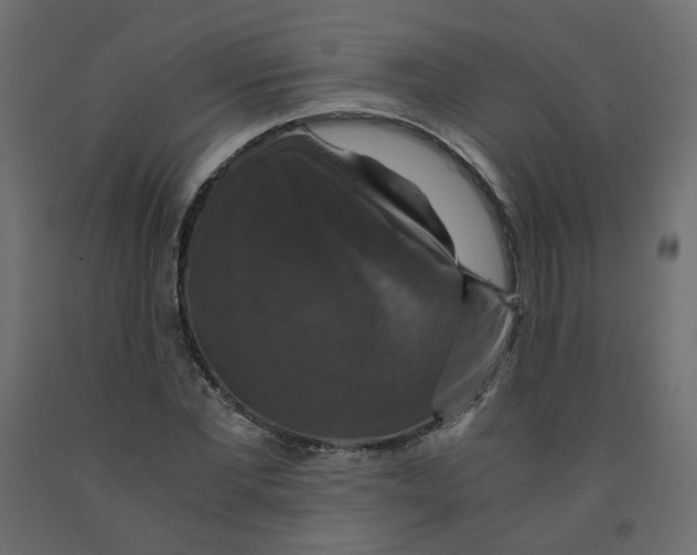 X0000091960877200710041026