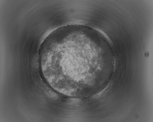 X0000091960878200710041026