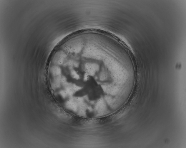X0000091960879200710041026