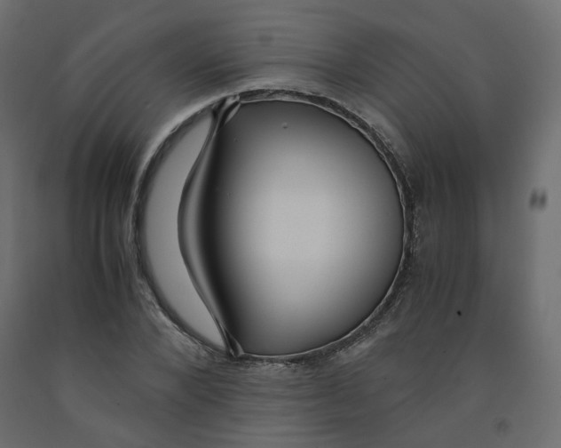 X0000091960880200710041026