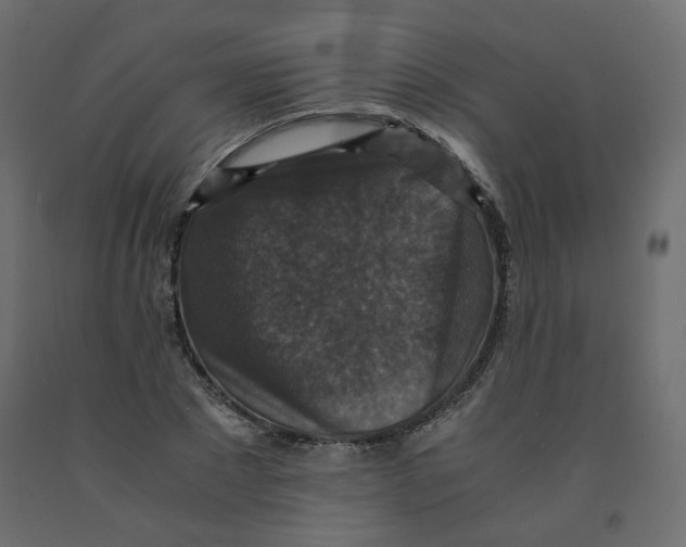 X0000091960881200710041026