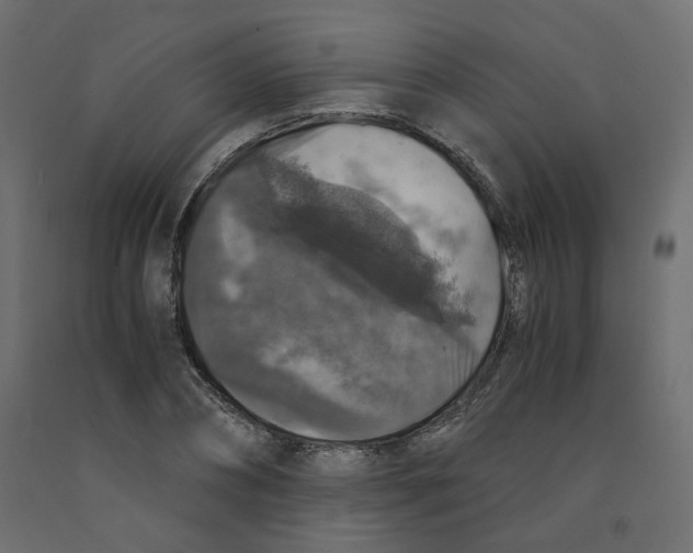 X0000091960882200710041026